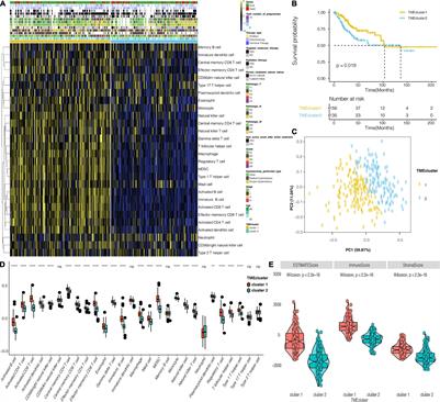 Integrated Analysis of Immune Infiltration Features for Cervical Carcinoma and Their Associated Immunotherapeutic Responses